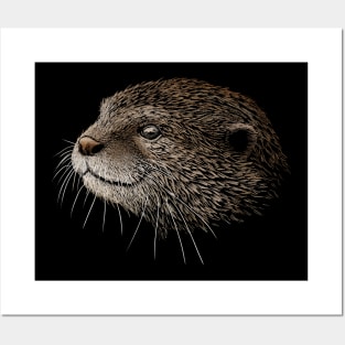 Awesome Pencil Artwork Otter Drawing Posters and Art